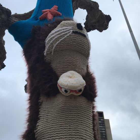 2018-02-28_17-27-40_833